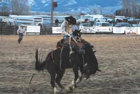Rodeo 8